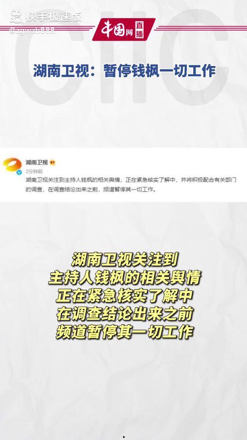 娱乐圈吃瓜文件,揭秘“吃瓜文件”背后的真相